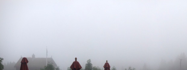 niebla, niebla y mas niebla niebla, niebla y mas niebla