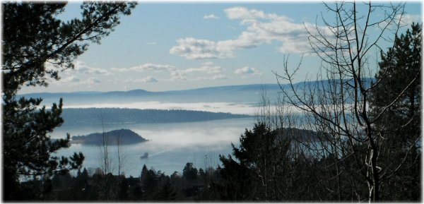 Niebla sobre el fiordo de Oslo Niebla sobre el fiordo de Oslo