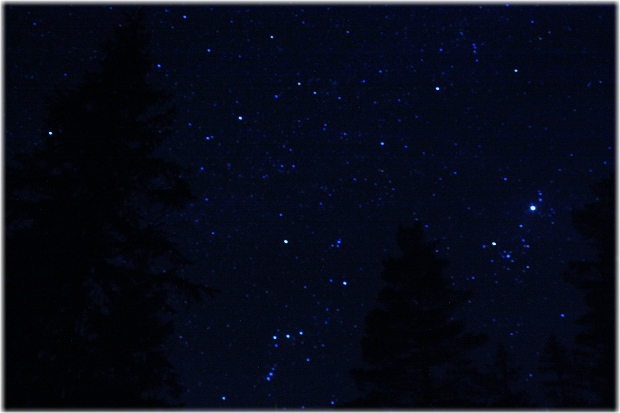 Orion Orion