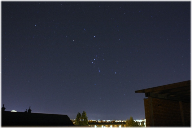 Orion Orion