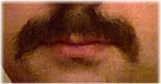 Mis bigotes