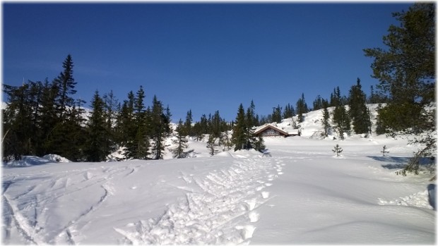 Varios metros de nieve. Varios metros de nieve.