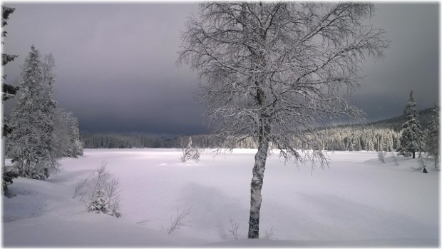 El lago Katnosa congelado. El lago Katnosa congelado.