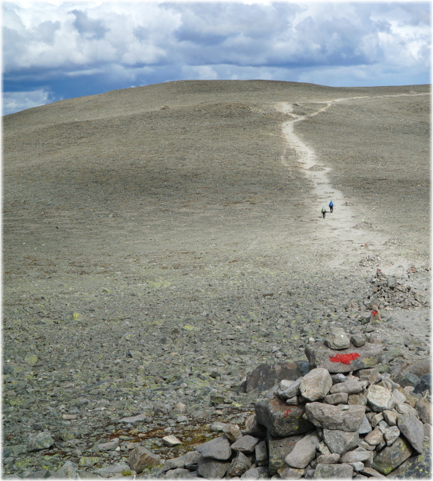 Desierto de pedruscos en Besseggen.